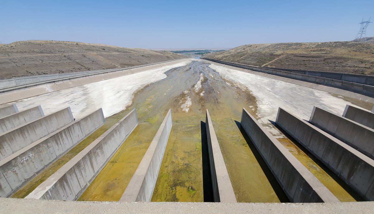 The Main 401(ok) Error Individuals Make