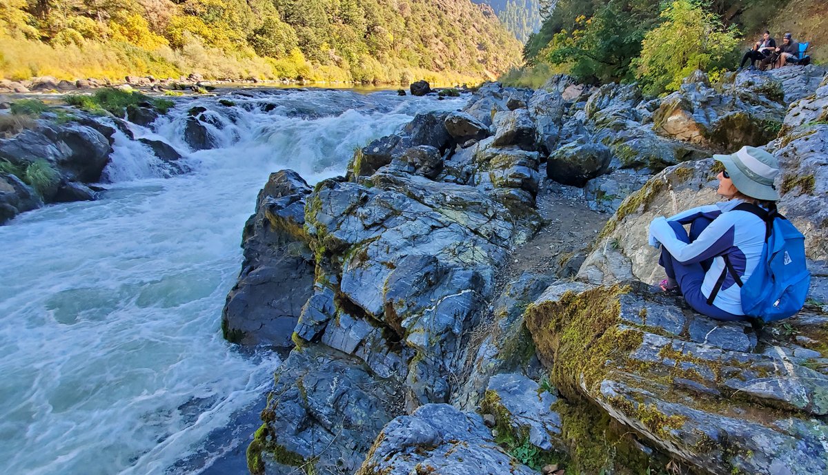 May You Dwell on Half Your Revenue if it Would Make You Free?