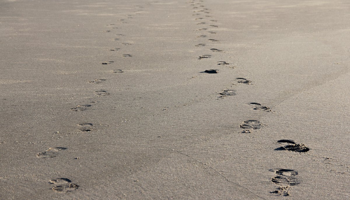 Who Advantages Most From Locums?