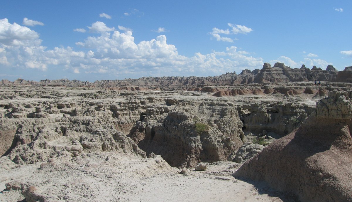 What I Discovered From My First Particular person Inventory Buy in 20 Years